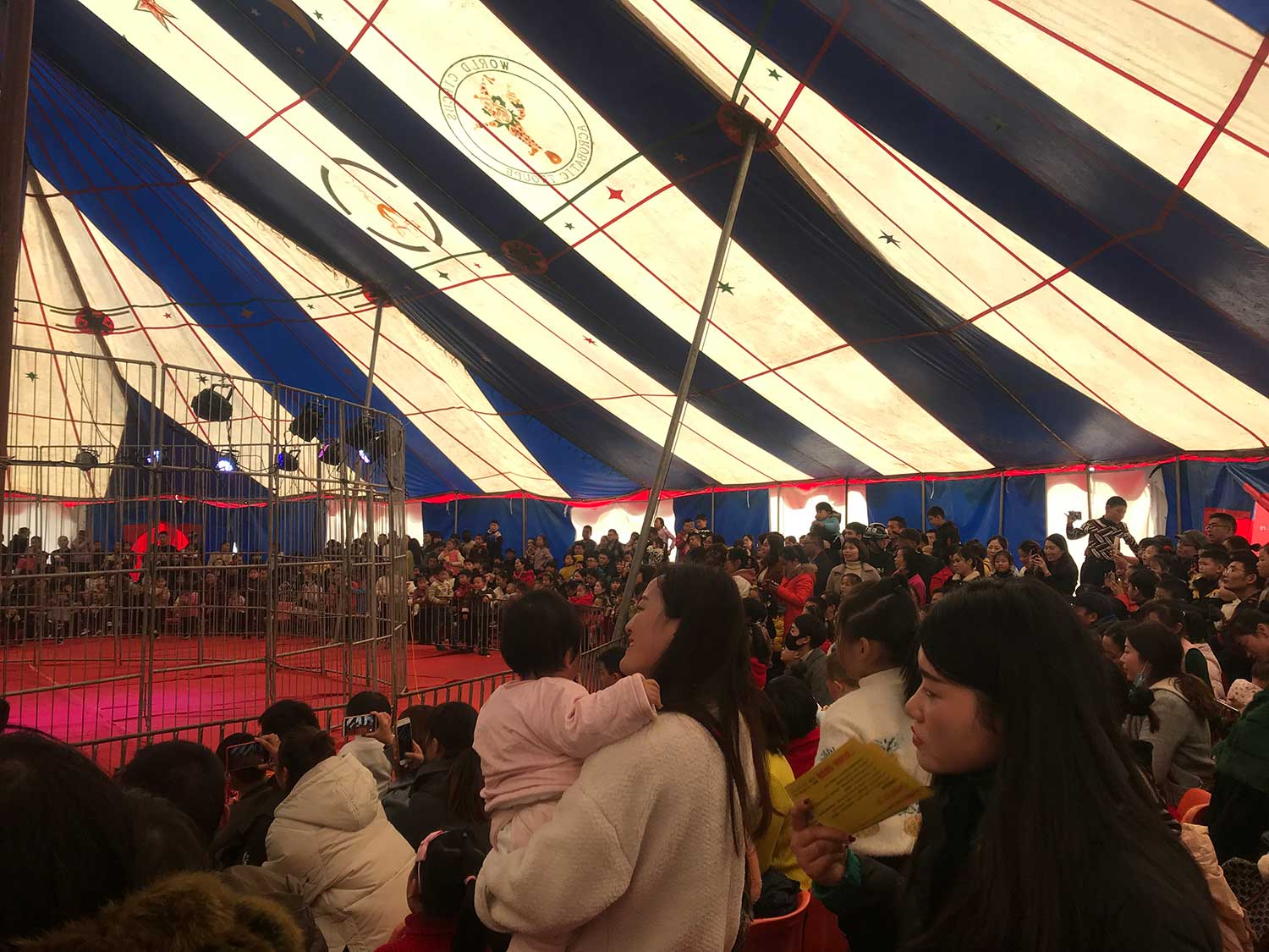 萬達(dá)廣場皇家馬戲團(tuán)嘉年華