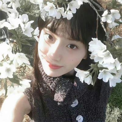 童话镇第三季 在线观看封面